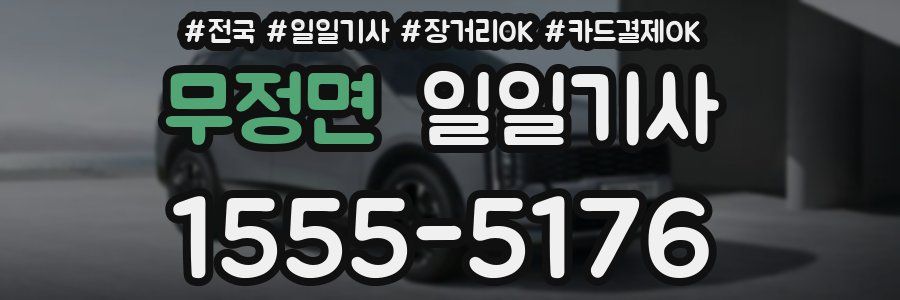 무정면 일일기사