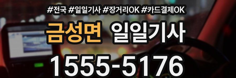 금성면 일일기사