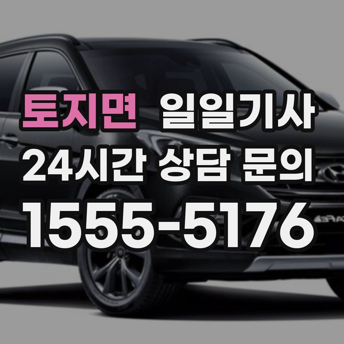 토지면 일일기사 환승 없는 이동이 주는 편안함