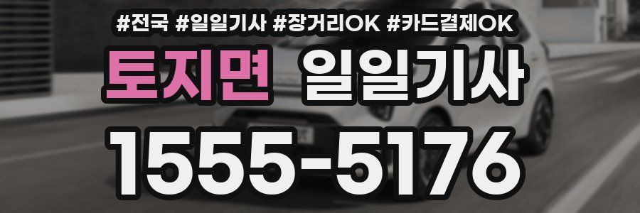 토지면 일일기사