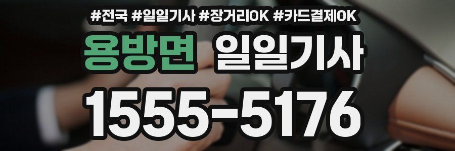 용방면 일일기사