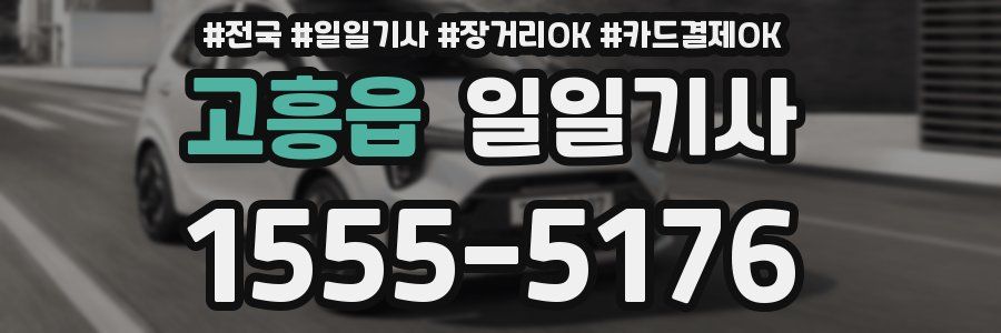 고흥읍 일일기사