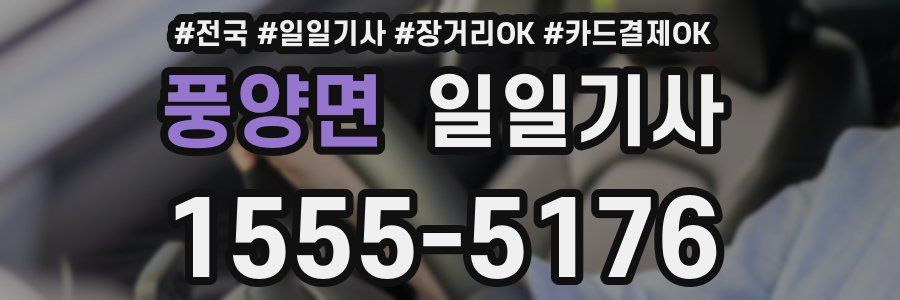 풍양면 일일기사