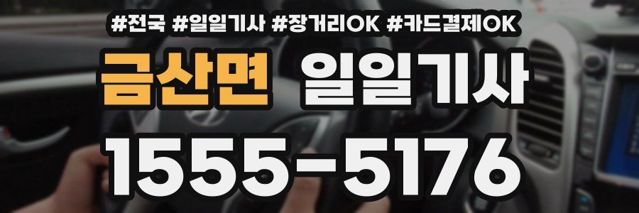 금산면 일일기사