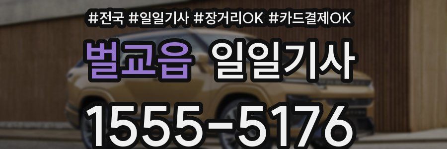 벌교읍 일일기사