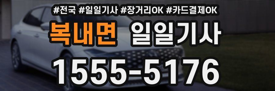 복내면 일일기사