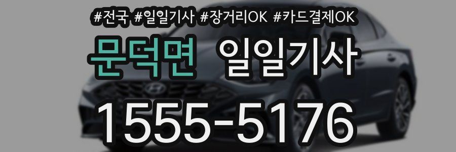 문덕면 일일기사