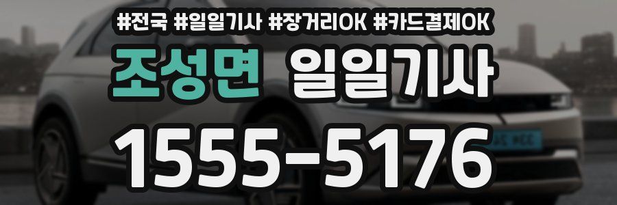 조성면 일일기사