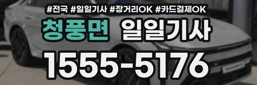 청풍면 일일기사