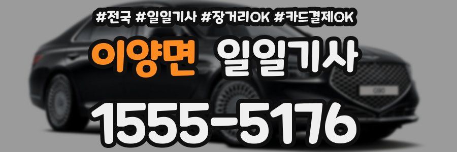 이양면 일일기사