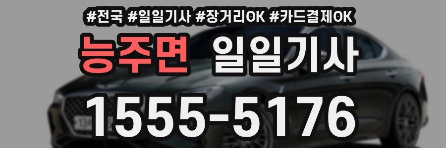 능주면 일일기사