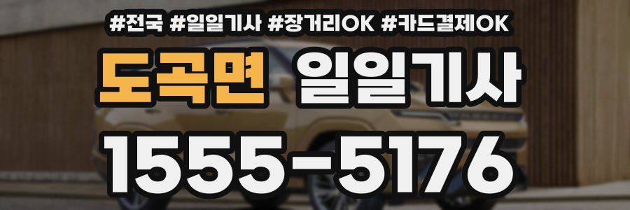 도곡면 일일기사