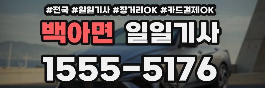 백아면 일일기사