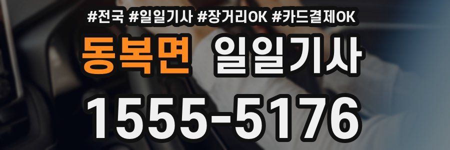 동복면 일일기사