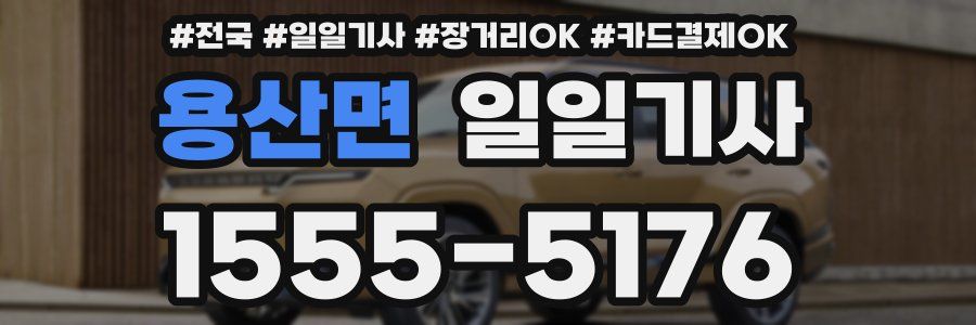 용산면 일일기사