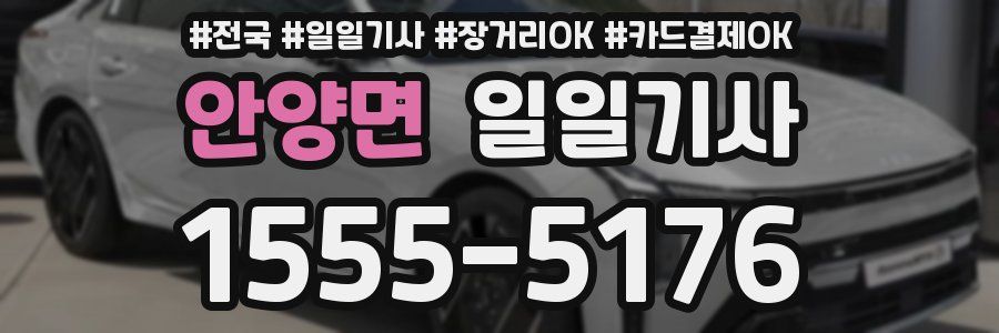 안양면 일일기사