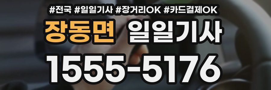 장동면 일일기사
