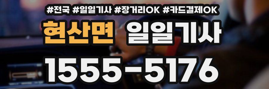 현산면 일일기사