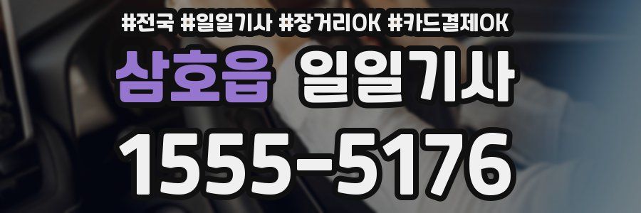 삼호읍 일일기사