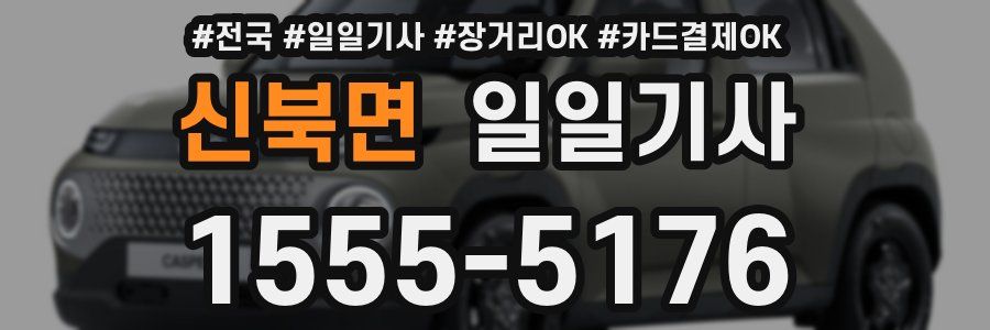 신북면 일일기사