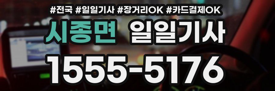 시종면 일일기사