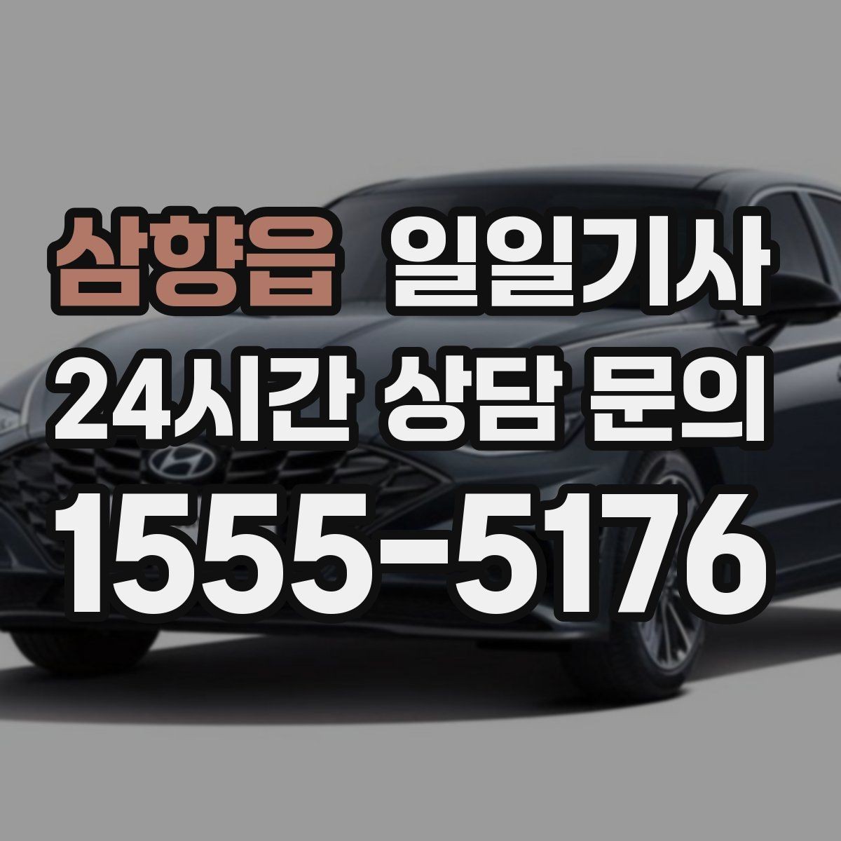 삼향읍 일일기사 초행 지역 안내 동행