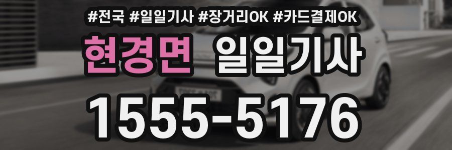 현경면 일일기사