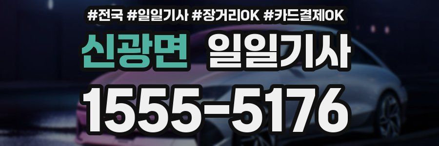 신광면 일일기사