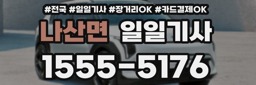 나산면 일일기사