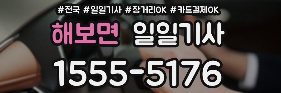 해보면 일일기사