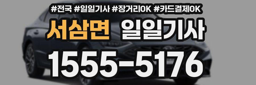 서삼면 일일기사