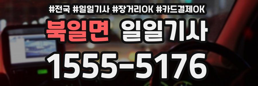 북일면 일일기사