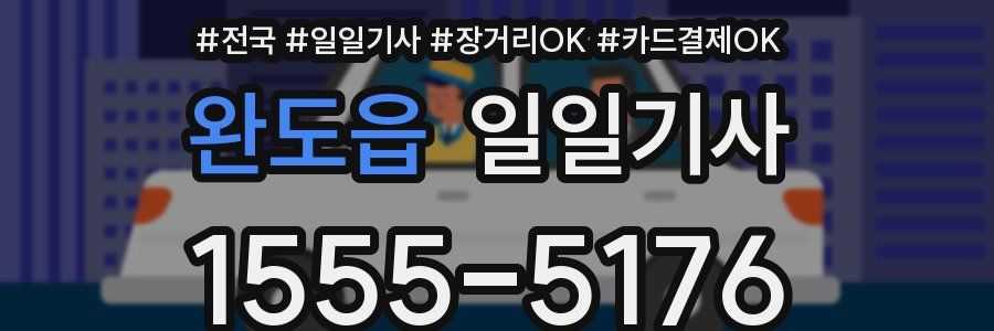 완도읍 일일기사