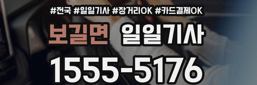 보길면 일일기사