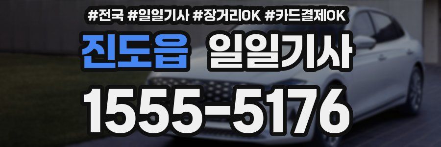 진도읍 일일기사