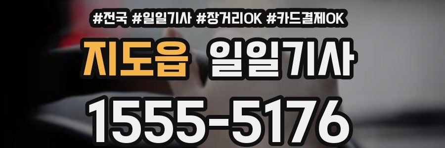 지도읍 일일기사