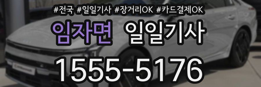 임자면 일일기사