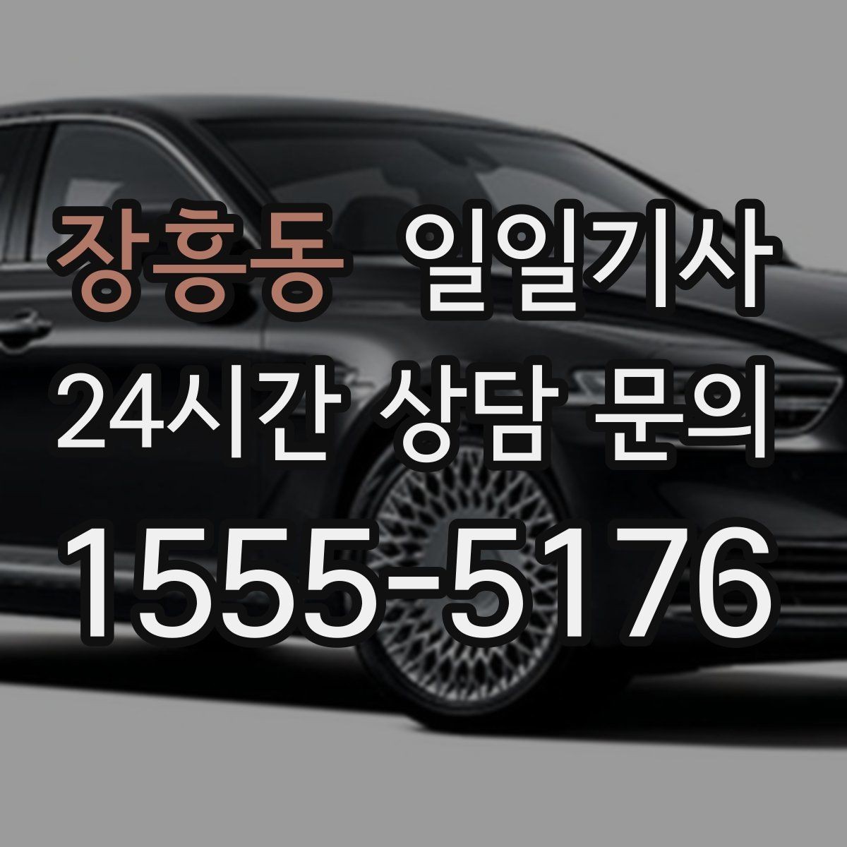 장흥동 일일기사 종일 일정 전담 동행