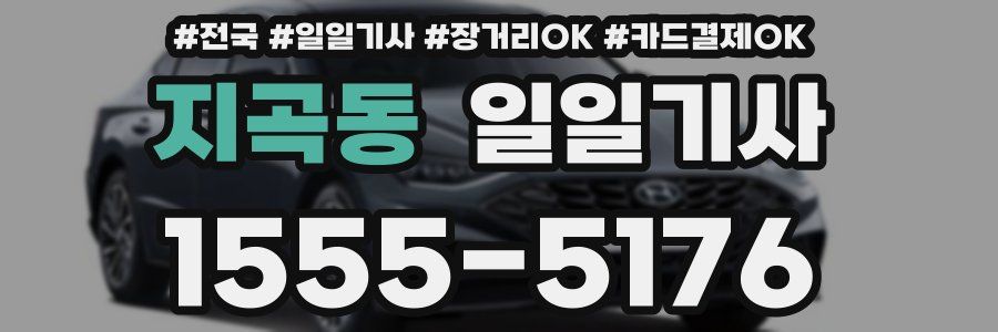 지곡동 일일기사