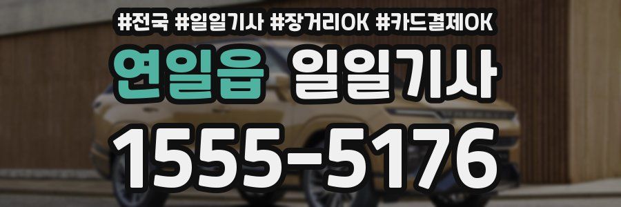 연일읍 일일기사