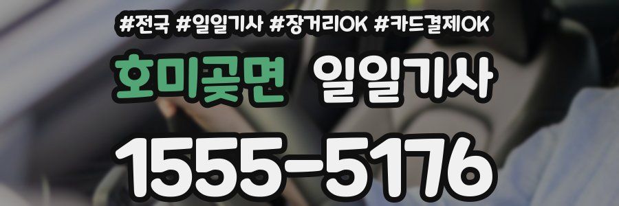 호미곶면 일일기사