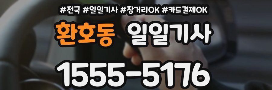 환호동 일일기사