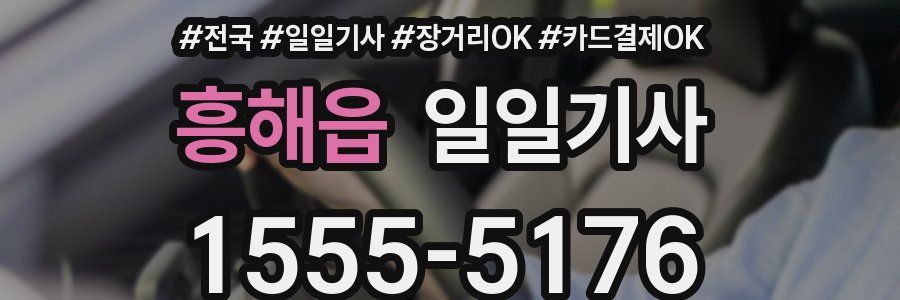 흥해읍 일일기사