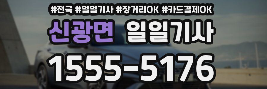 신광면 일일기사