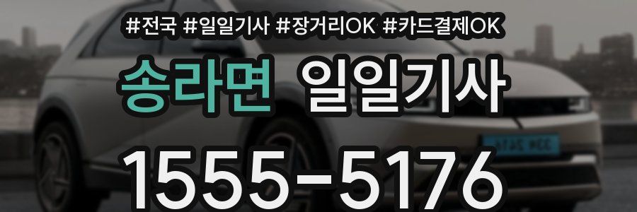 송라면 일일기사