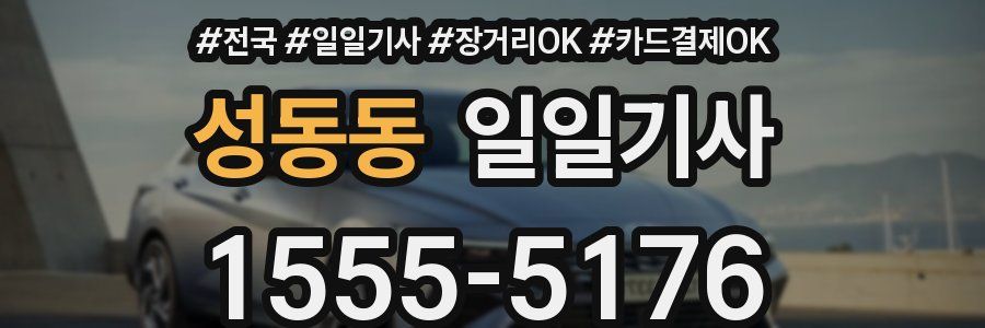 성동동 일일기사