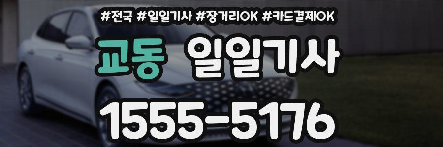 교동 일일기사