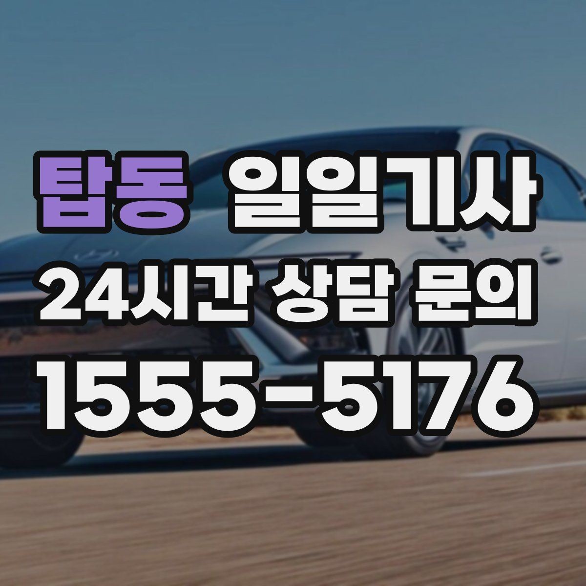 탑동 일일기사 전시장 차량 이동도 깔끔하게