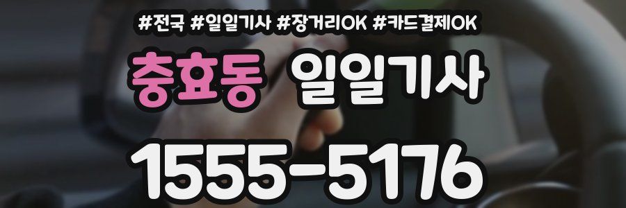 충효동 일일기사