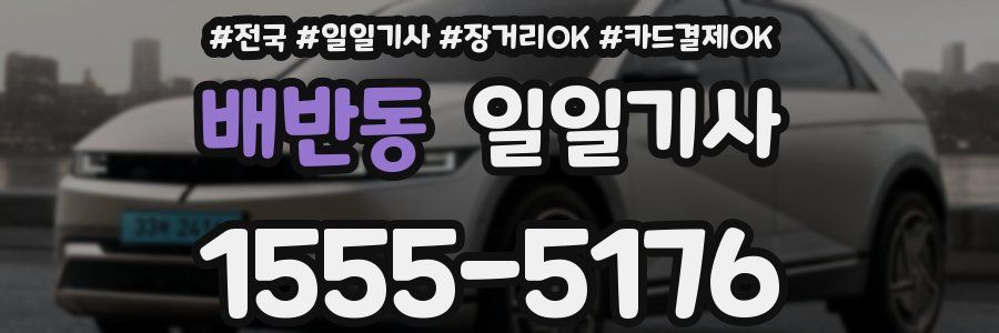 배반동 일일기사